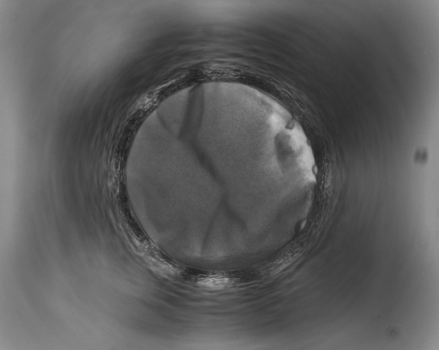 X0000114390759200911061514
