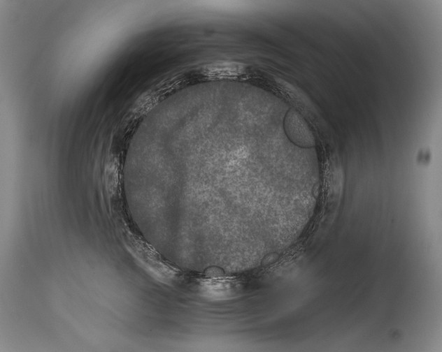 X0000114390761200911061514