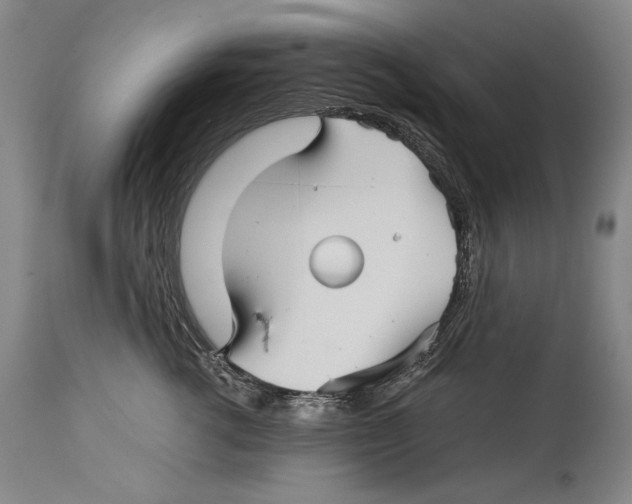 X0000114390762200911061514