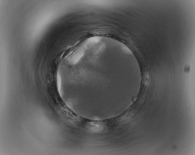 X0000114390763200911061514