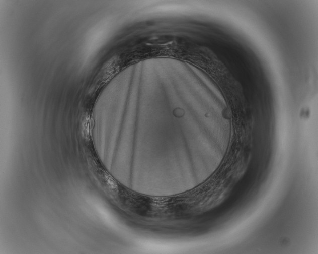 X0000114390766200911061514