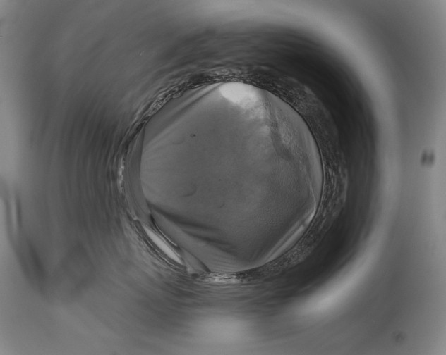 X0000114390767200911061514