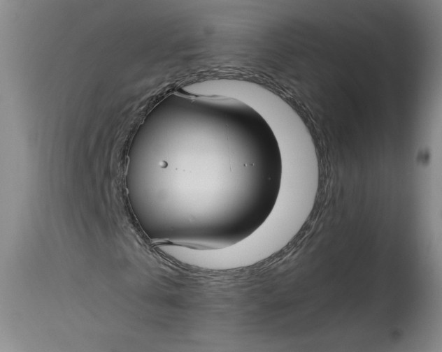 X0000114390769200911061514
