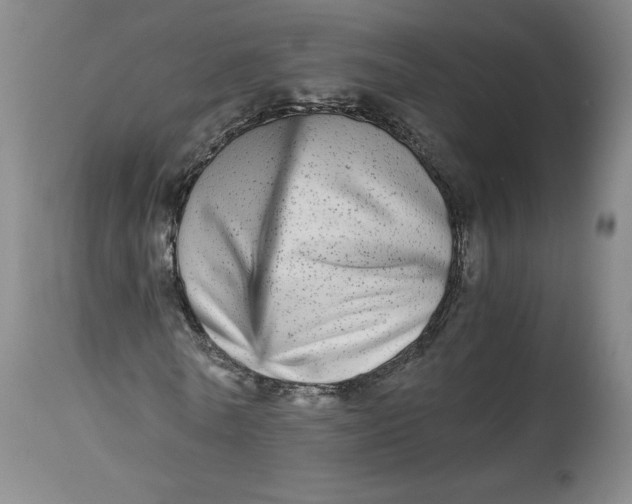 X0000114390770200911061514