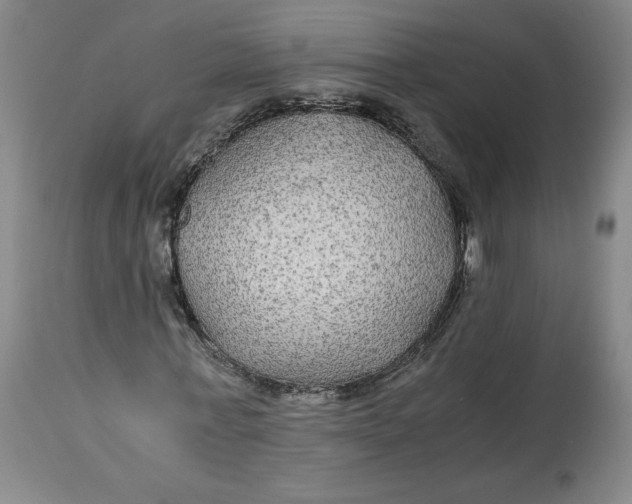 X0000114390771200911061514