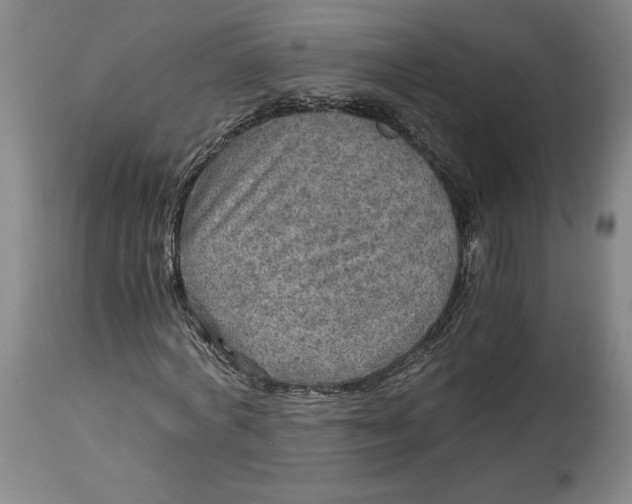 X0000114390772200911061514