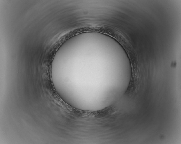 X0000114390773200911061514