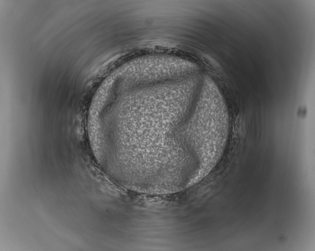 X0000114390774200911061514