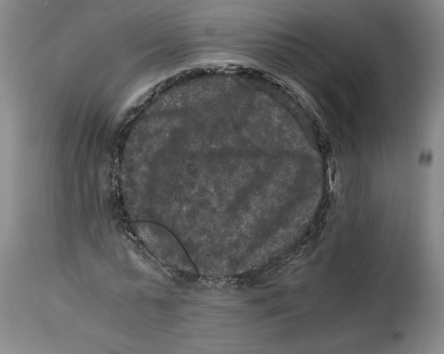 X0000114390775200911061514