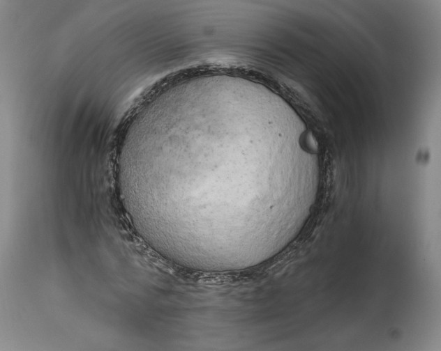 X0000114390776200911061514