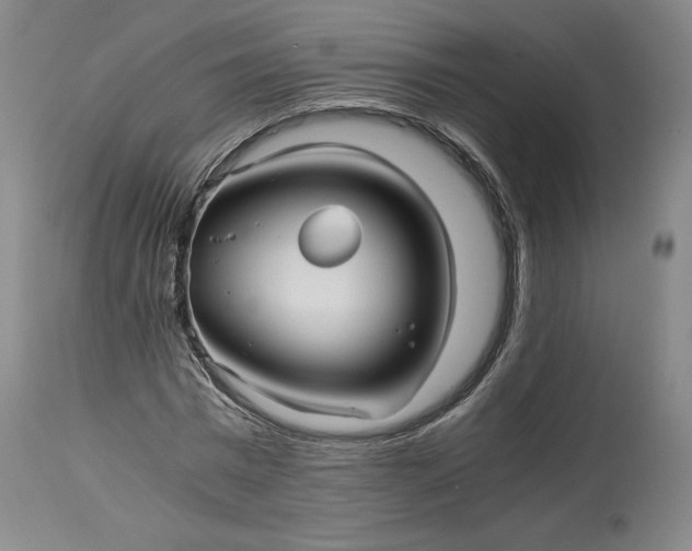 X0000114390777200911061514