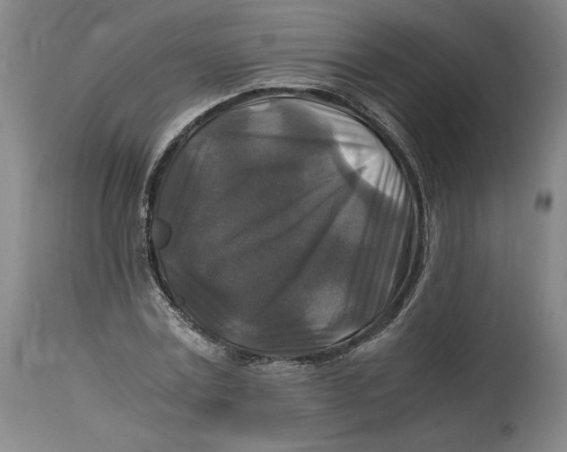 X0000114390779200911061514