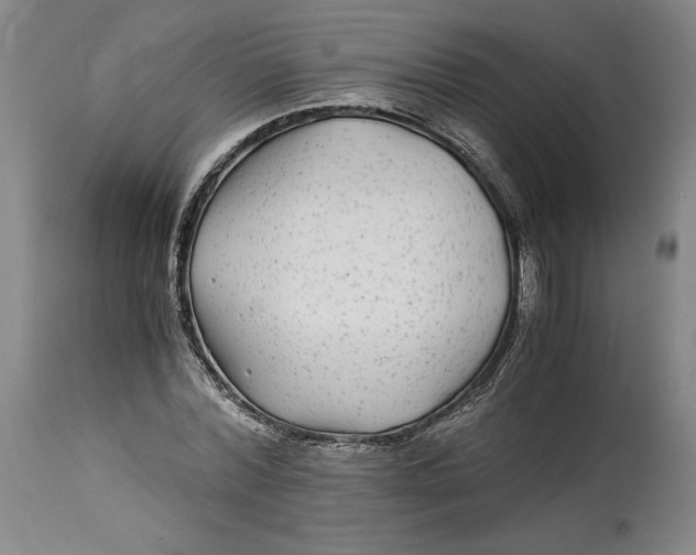 X0000114390780200911061514