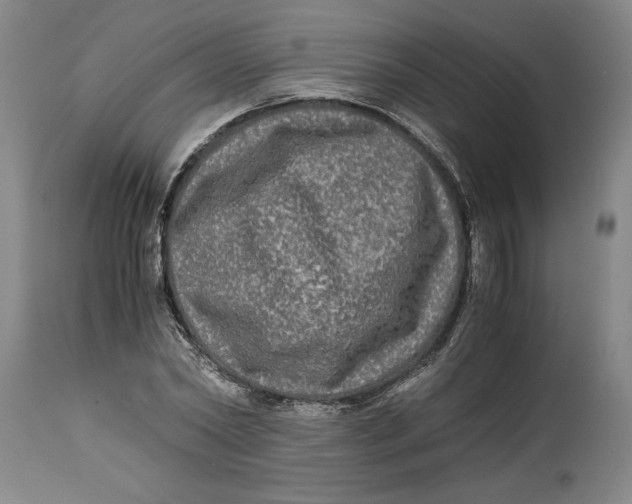 X0000114390782200911061513