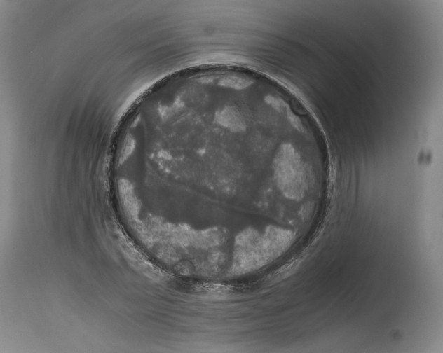 X0000114390783200911061513