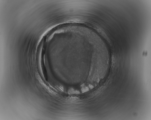X0000114390784200911061513