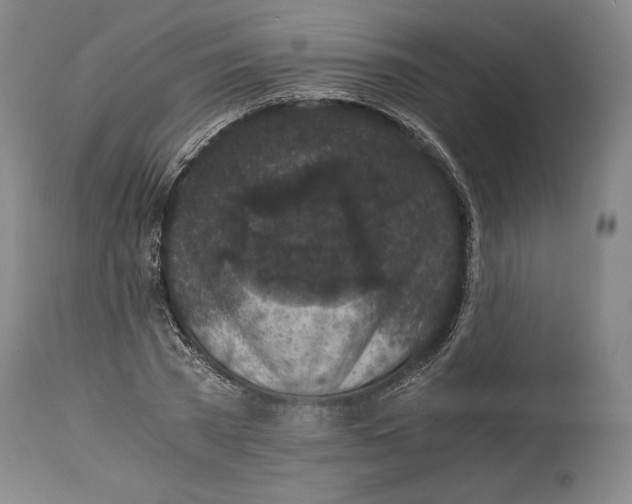 X0000114390785200911061513