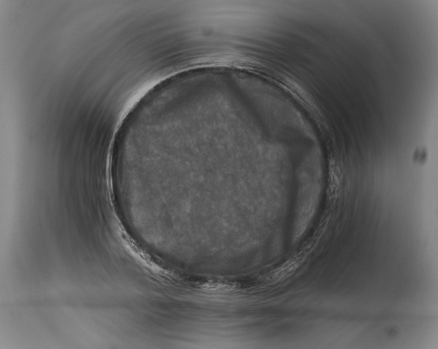 X0000114390788200911061513