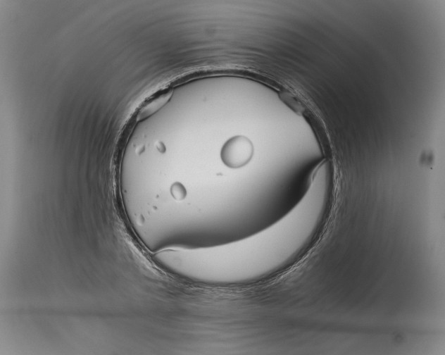 X0000114390789200911061513