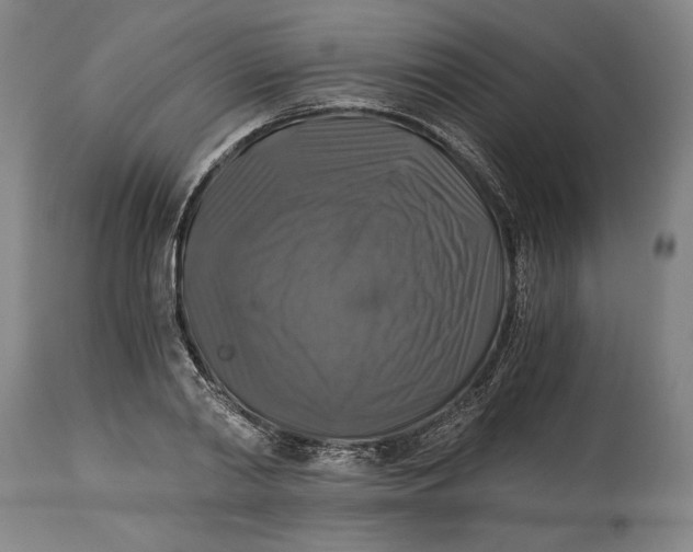 X0000114390790200911061513