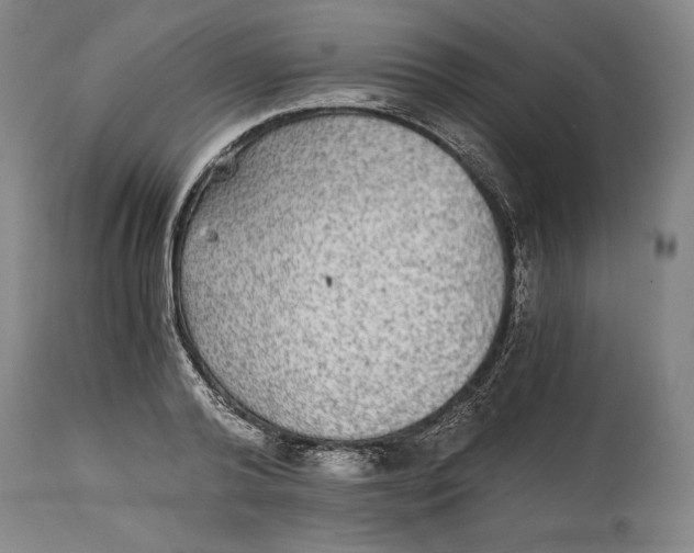 X0000114390792200911061513