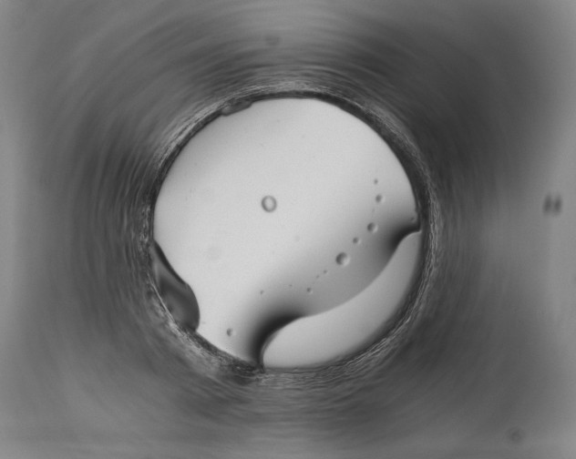 X0000114390793200911061513