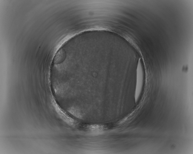 X0000114390797200911061513