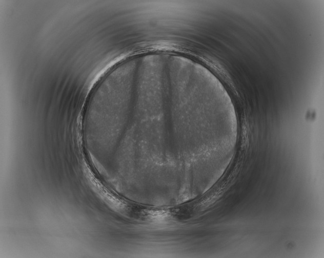 X0000114390798200911061513