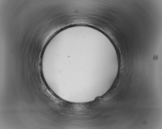 X0000114390799200911061513