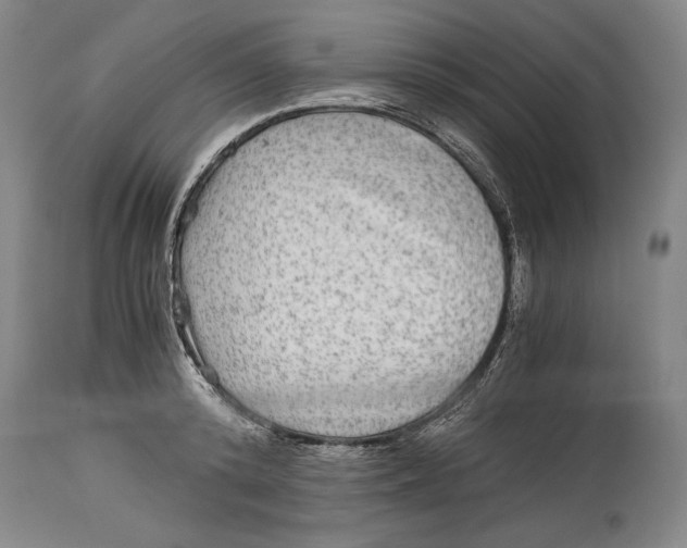 X0000114390800200911061513