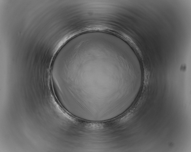 X0000114390802200911061513