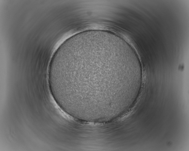 X0000114390803200911061513