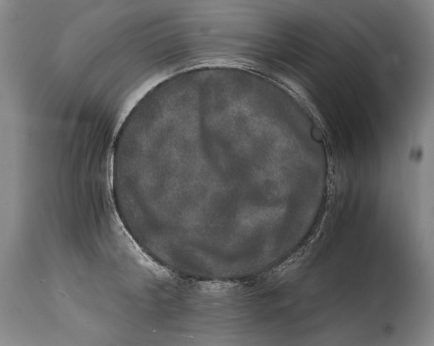 X0000114390804200911061513