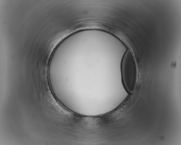 X0000114390805200911061513