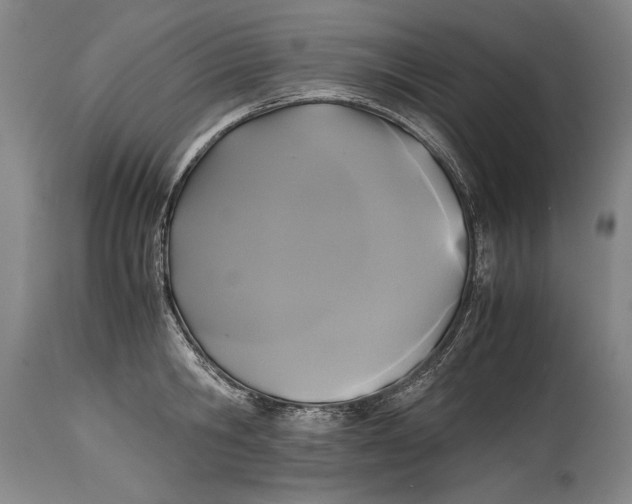X0000114390806200911061513