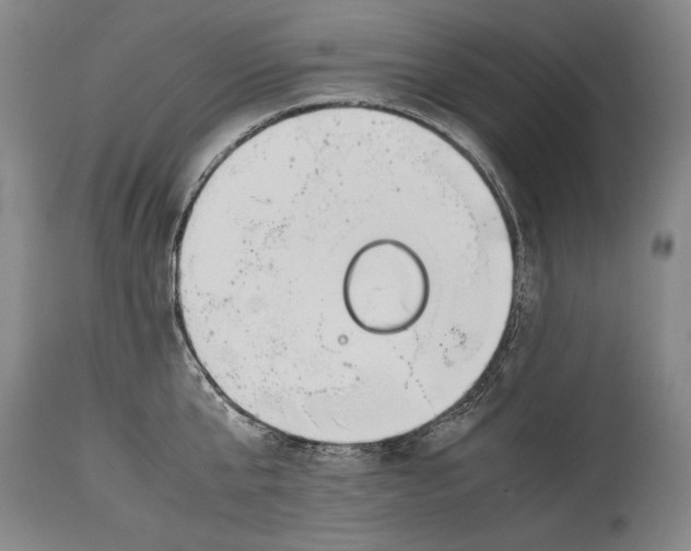 X0000114390807200911061513