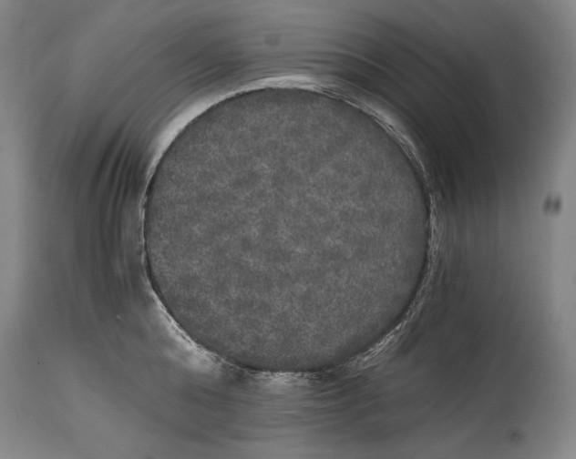 X0000114390808200911061513