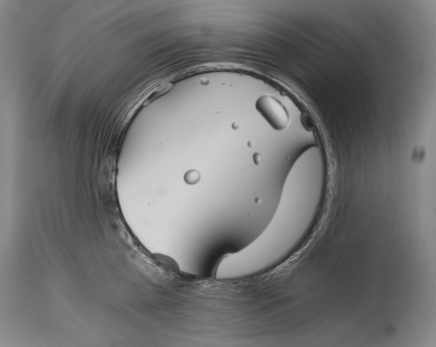 X0000114390809200911061513