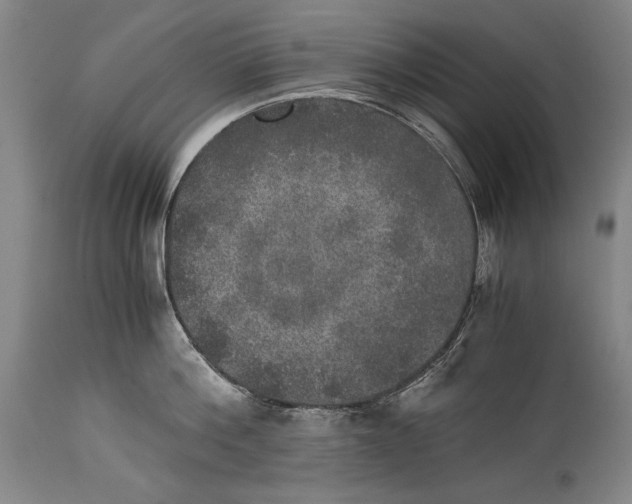 X0000114390812200911061513