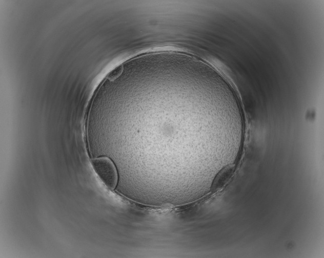 X0000114390813200911061513