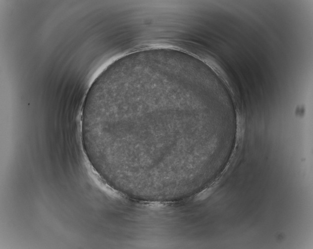 X0000114390814200911061513