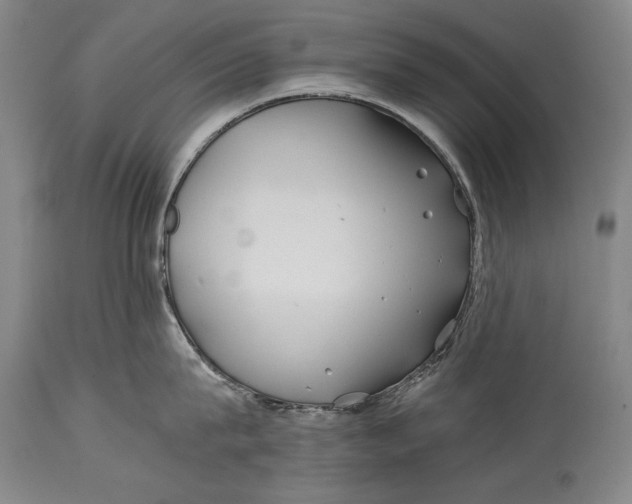X0000114390815200911061513