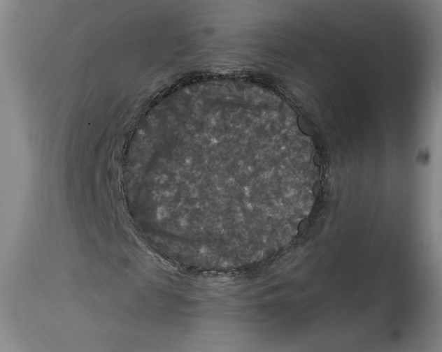 X0000114390817200911061512