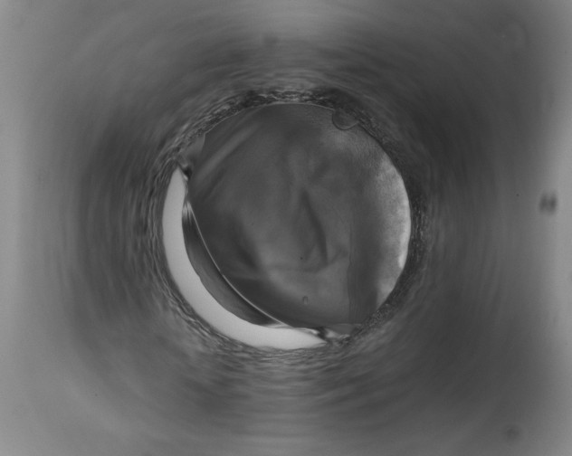 X0000114390818200911061512
