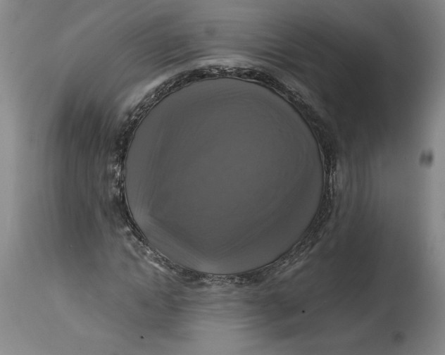 X0000114390822200911061512