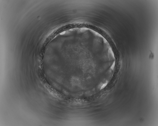 X0000114390823200911061512