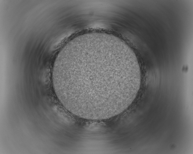 X0000114390824200911061512
