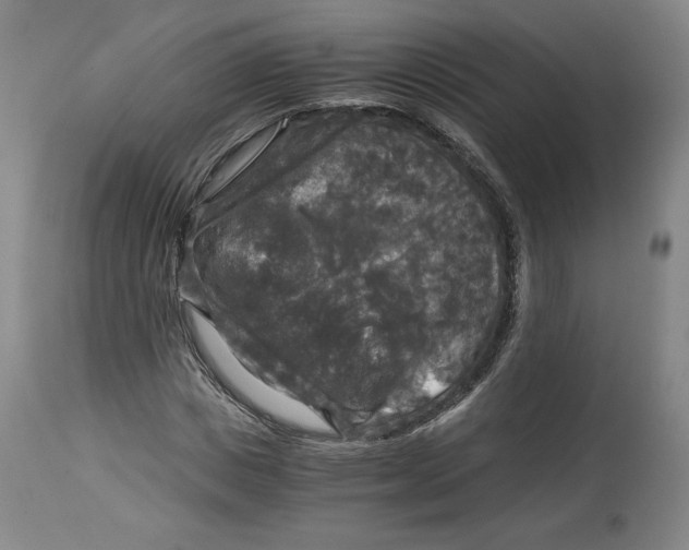 X0000114390825200911061512