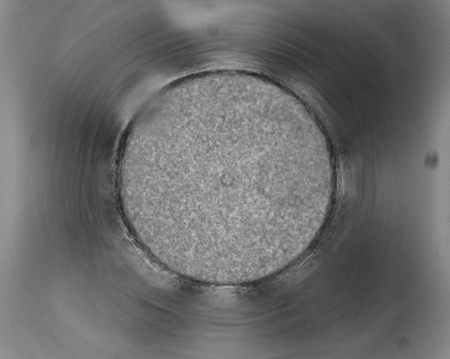 X0000114390828200911061513