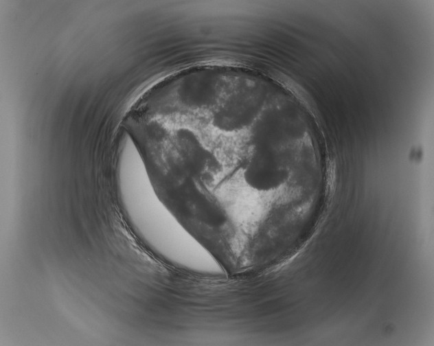 X0000114390829200911061513
